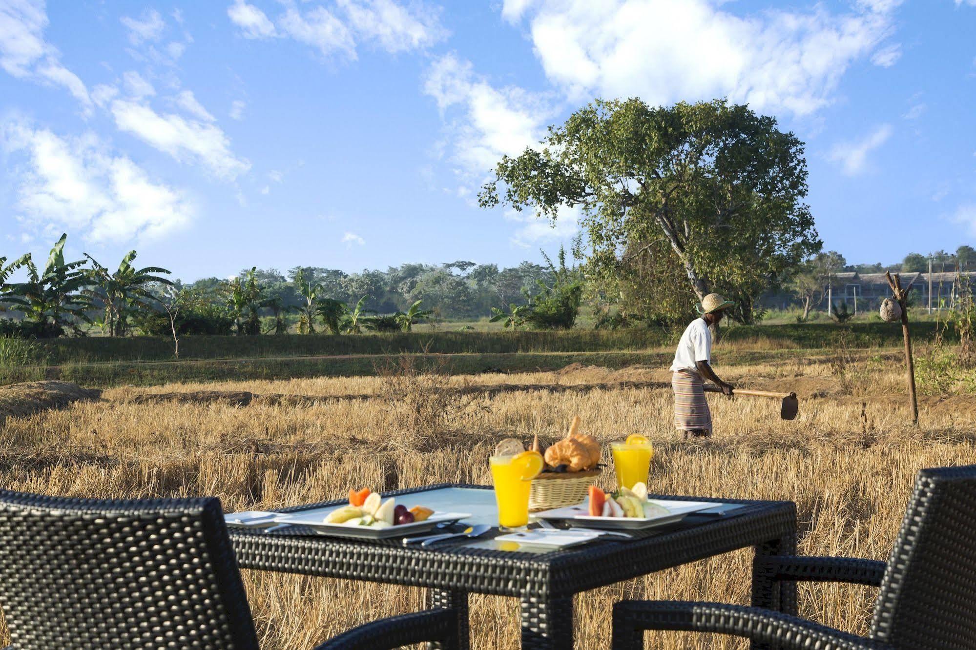 Aliya Resort And Spa - Thema Collection Sigiriya Exterior foto